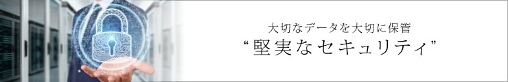 大切なデータを大切に保管　堅実なセキュリティ