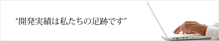 開発実績は私たちの足跡です